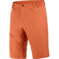 Salomon pantalón corto montaña hombre WAYFARER SHORTS M vista detalle