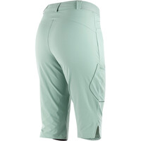 Salomon pantalón montaña mujer WAYFARER CAPRI W 05