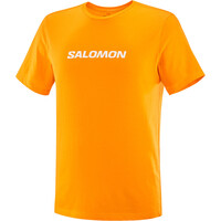 Salomon camiseta montaña manga corta hombre SAL LOGO PERF SS TEE M vista detalle