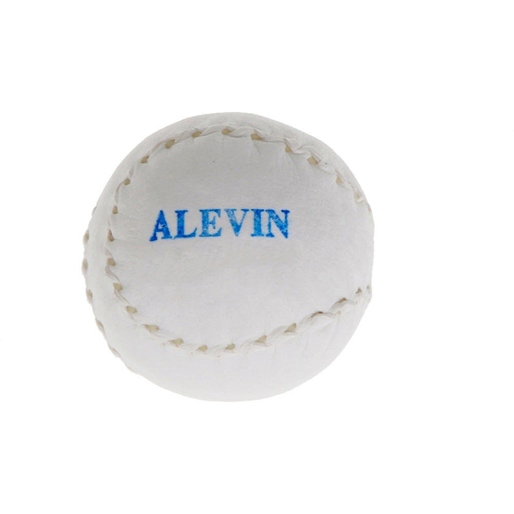 Euskalduna pelota mano alevín P.MANO ALEVIN vista frontal