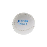 Euskalduna pelota mano alevín P.MANO ALEVIN GOXUA vista frontal