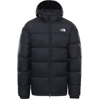 The North Face chaquetas hombre M DIABLO DOWN HOODIE vista frontal