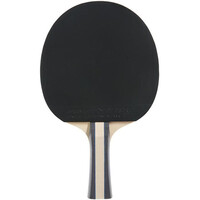 Dunlop palas ping-pong FLUX 02