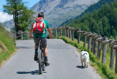 bicicleta con perro