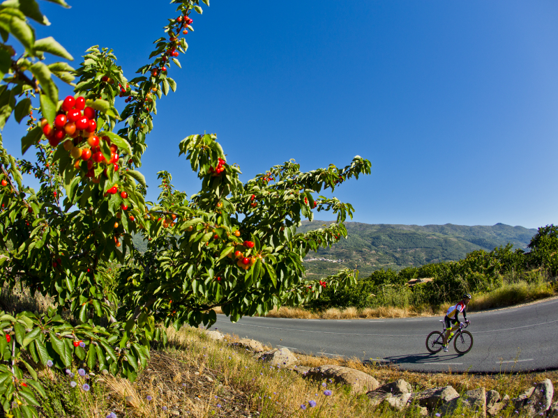 turismo cicloturista