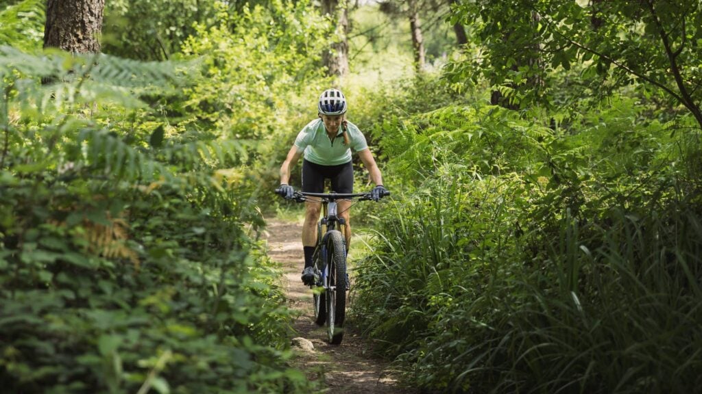 primera MTB