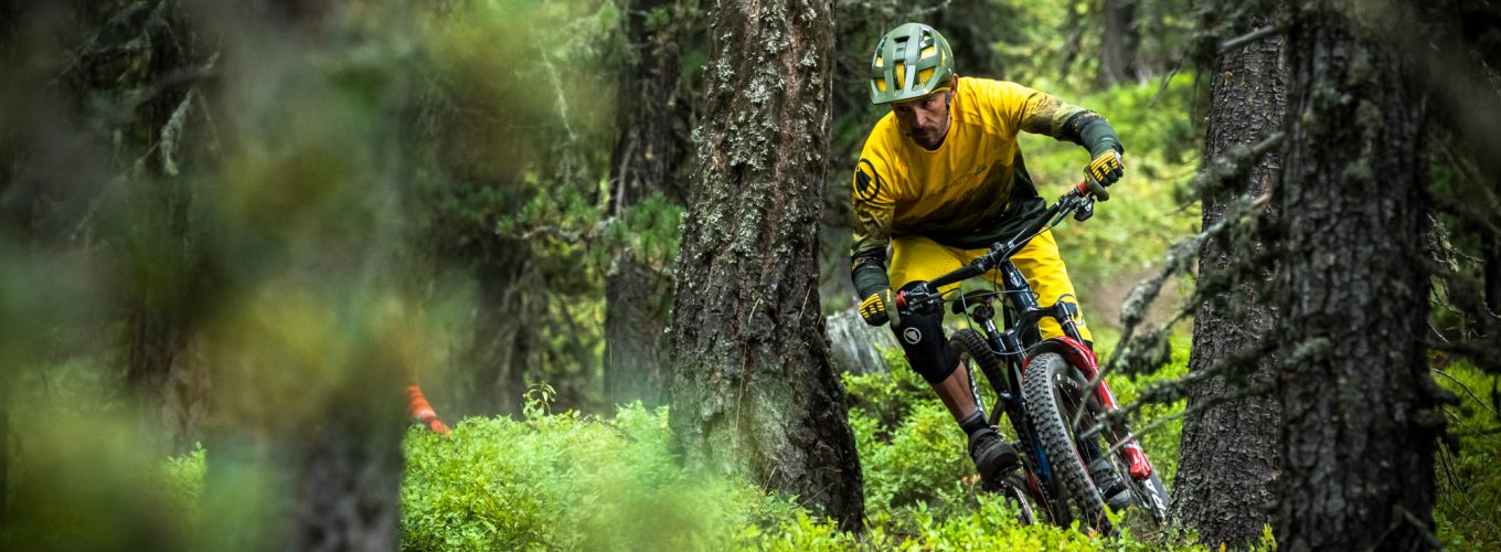 mantenimiento pedales Shimano