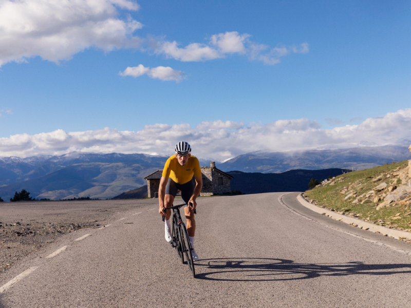 Comparativa cubiertas de carretera tope de gama