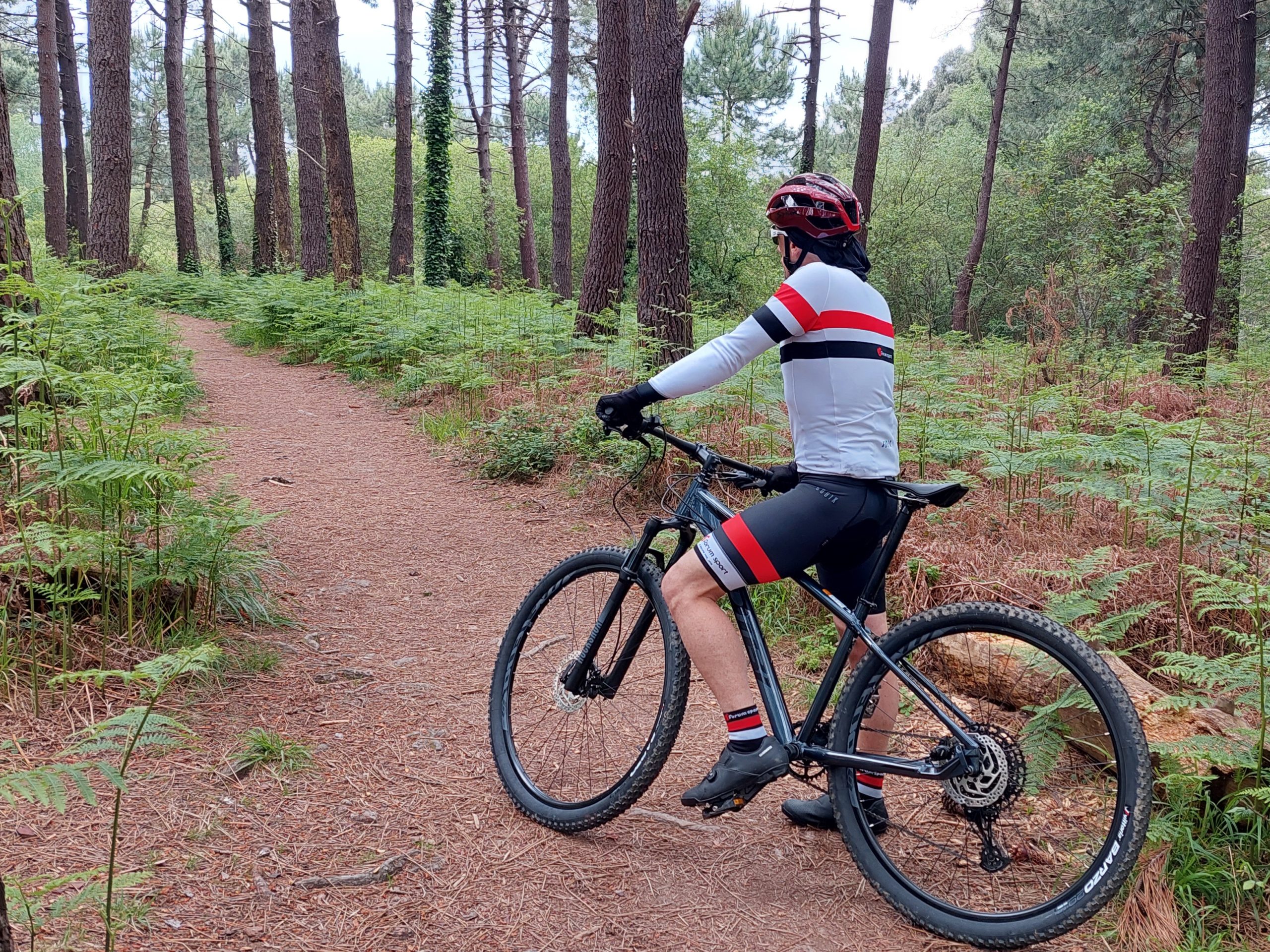 Summit 12.0 Disc 29 la bici perfecta para iniciarse en el MTB