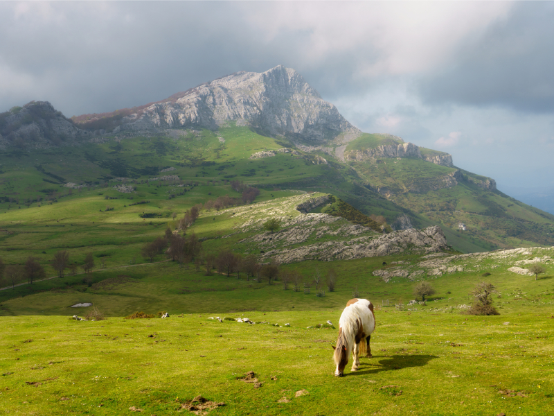 El Tour de Francia en Euskadi