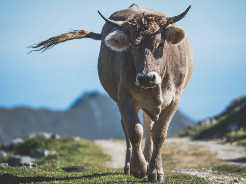 Asturias en E-Mtb