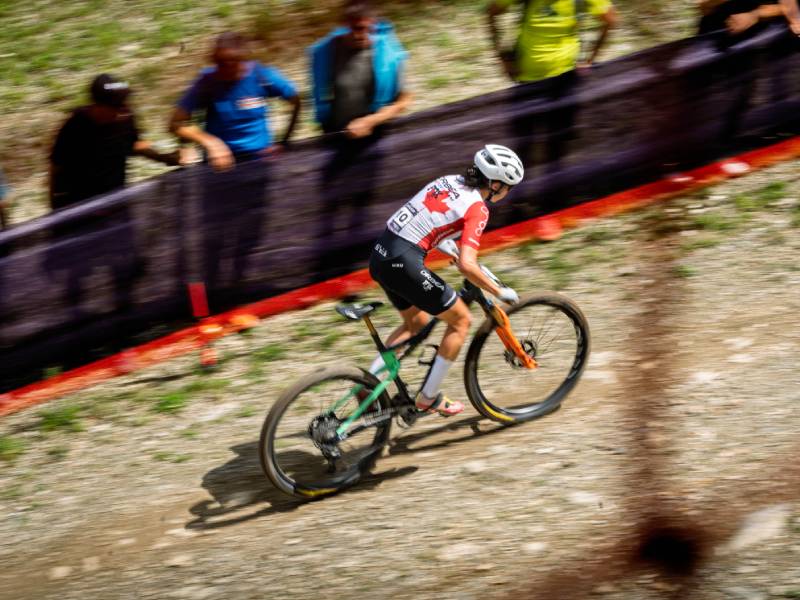 cambiar dos dientes al plato