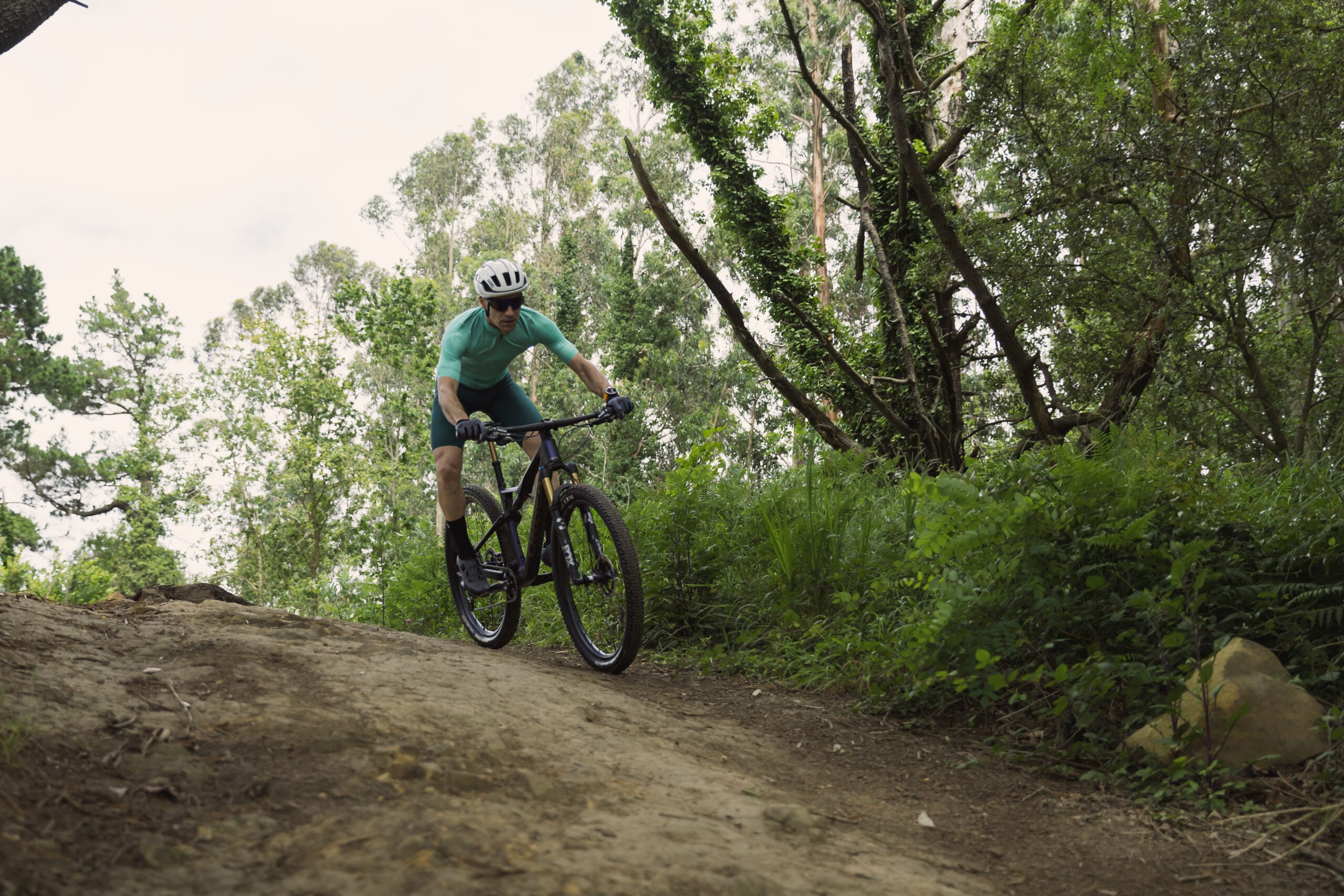 067 forum sport mtb