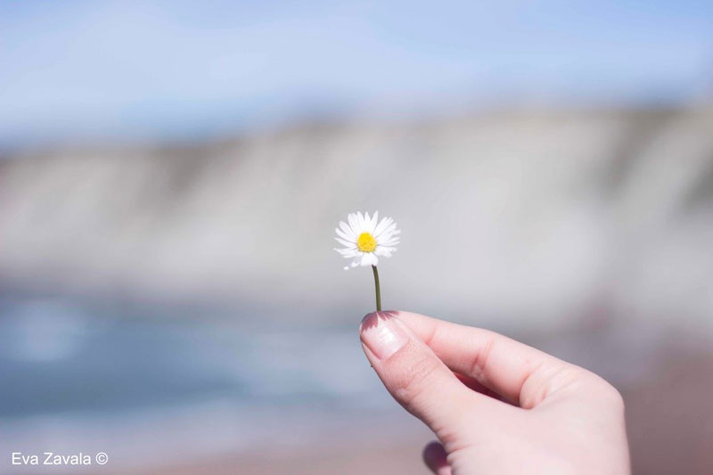 Consejos para practicar yoga en casa: acto de amor