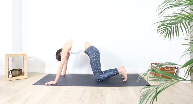 5 asanas de yoga para hacer por la mañana: gato - vaca estiramiento