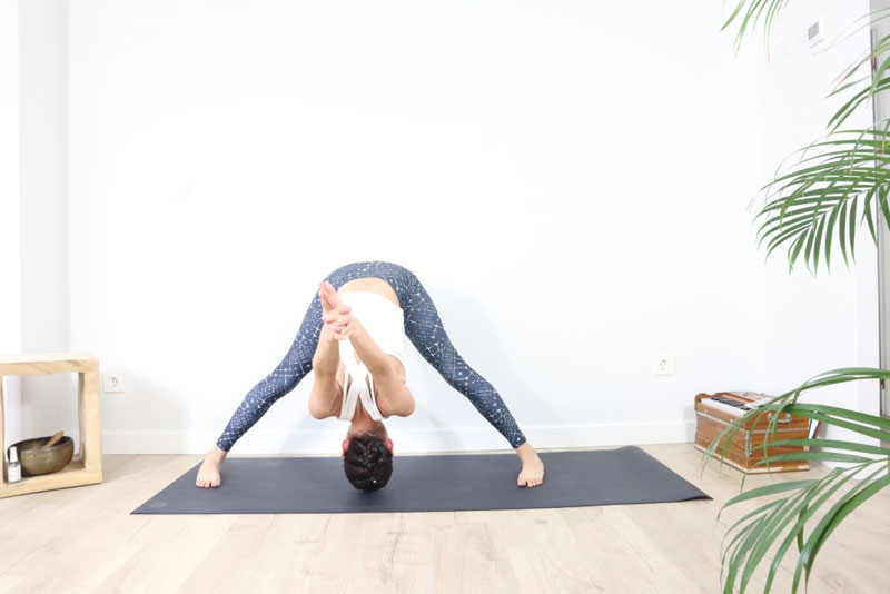 Prasarita padottanasana C