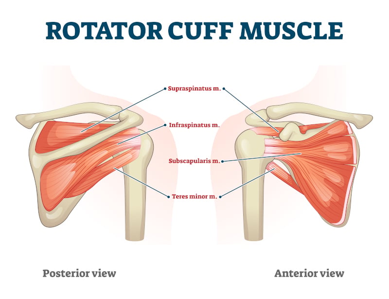 prevenir el dolor de hombro