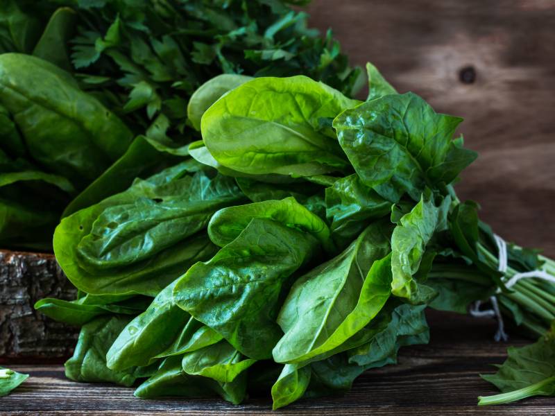 Dieta Keto