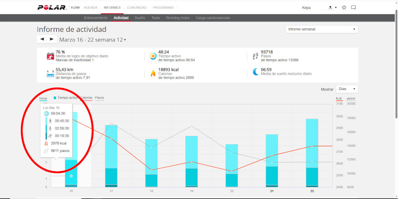 ejemplo de una semana y detalle de un día