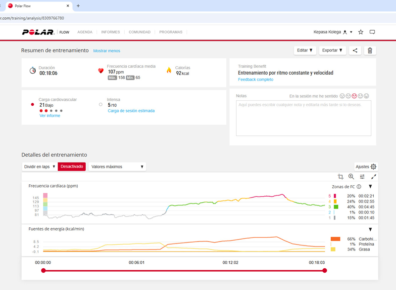 polar resumen entreno