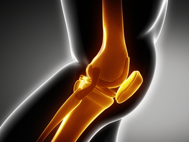 ligamento cruzado anterior 