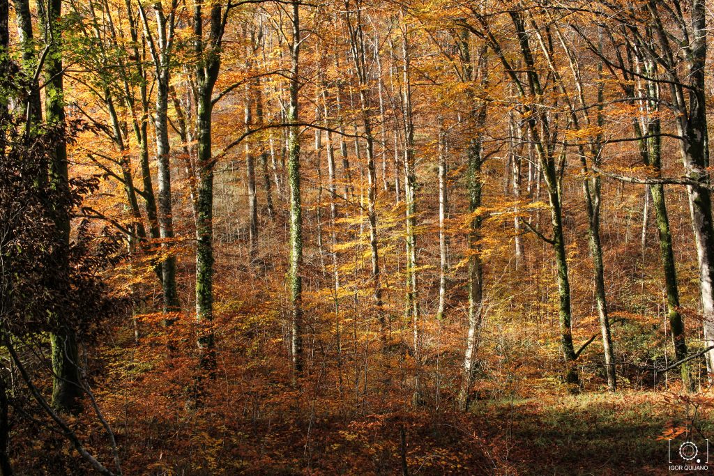 Fotografía de paisajes de montaña