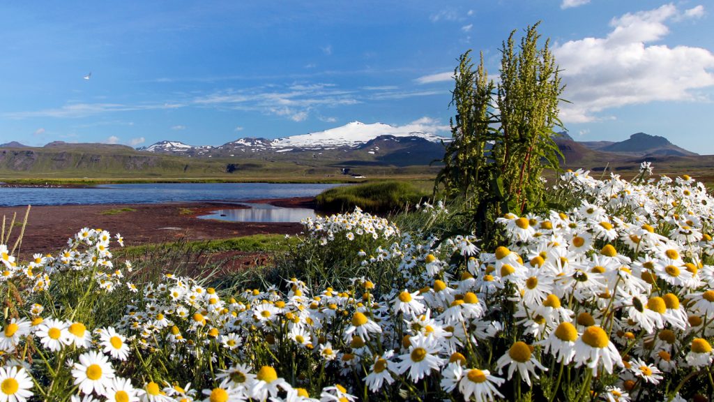 Fotografía de paisajes de montaña