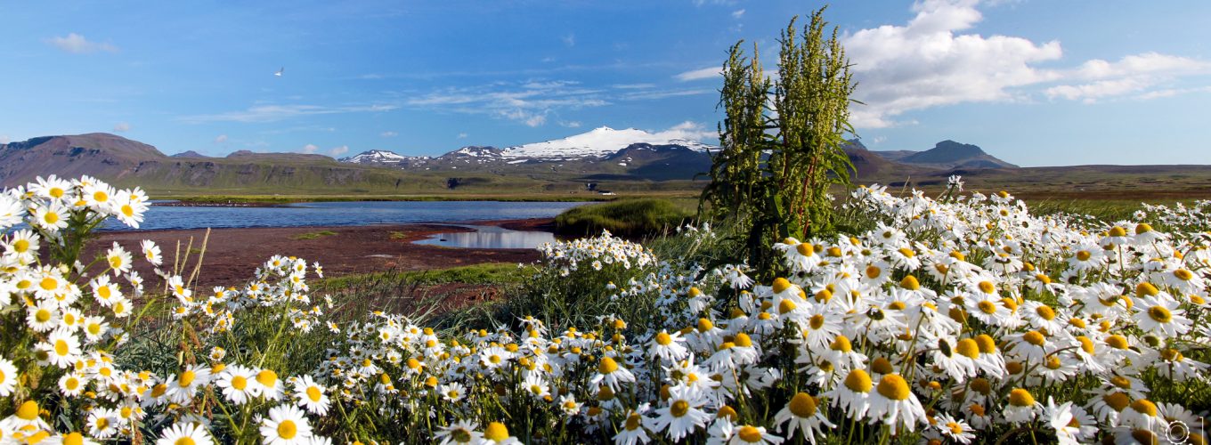 Fotografía de paisajes de montaña
