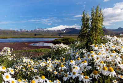 Fotografía de paisajes de montaña