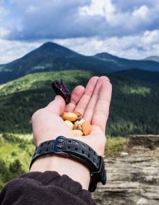 frutos secos táper montaña