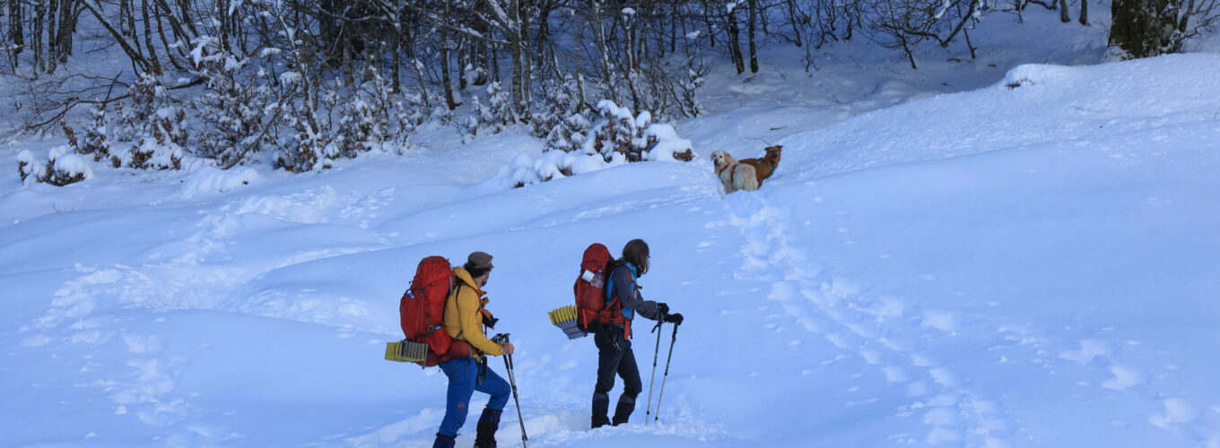 mejores botas de montaña para este invierno