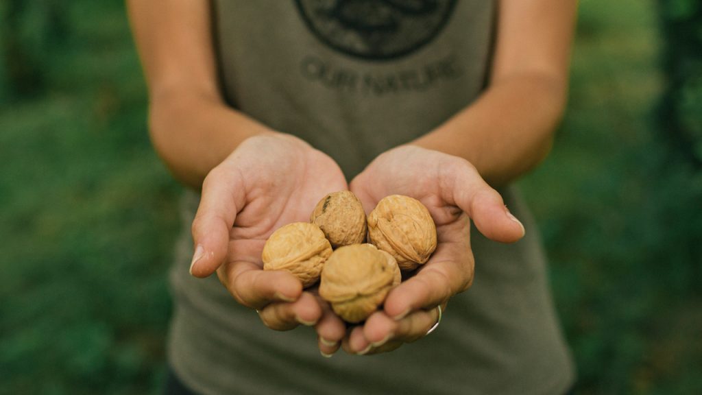 ropa de montaña fabricada con materiales reciclados