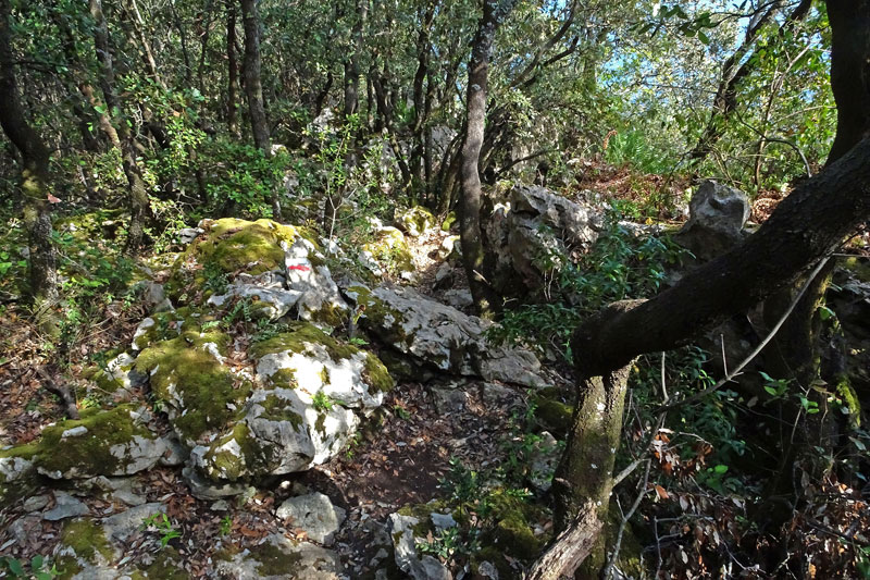 atención a las marcas de la ruta a Talaia
