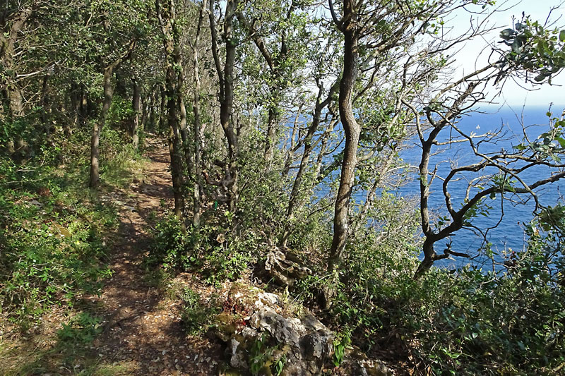 sendero tramo paralelo al mar