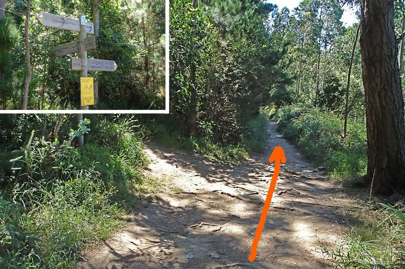 Cruce de Ogoño - Atxurkulu