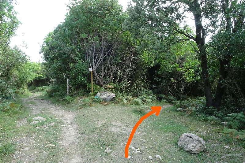 Dejamos el burdibide y tomamos a la derecha