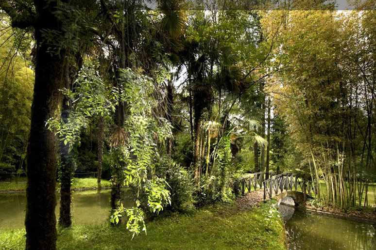 3 bosques para admirar los colores del otoño: Señorío de Bertiz