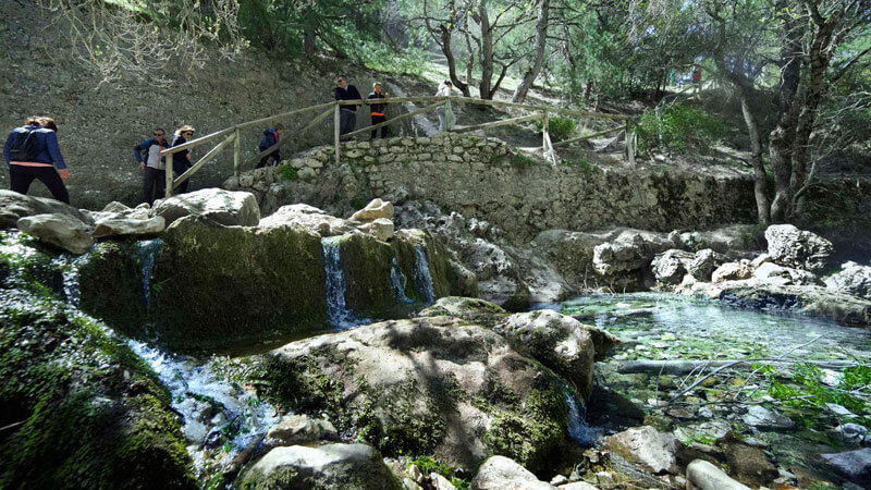 3 bosques para admirar los colores del otoño: Nacimiento del río Guadalquivir