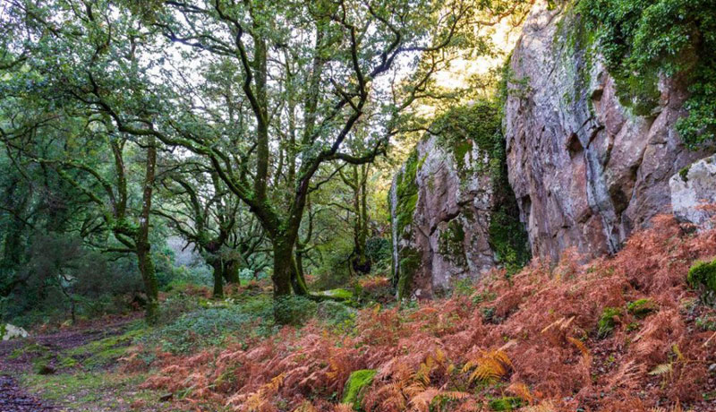 Top 10 senderos más bonitos (y mejor conservados) de la Península: Ruta de la Sauceda