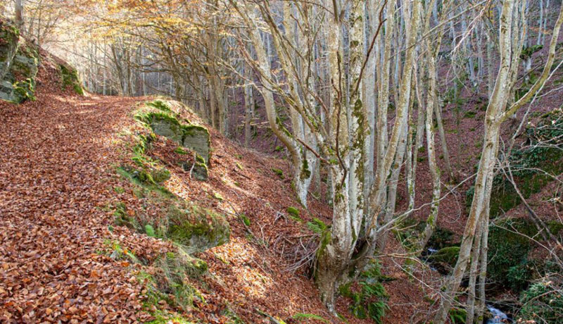 Top 10 senderos más bonitos (y mejor conservados) de la Península: Los siete puentes