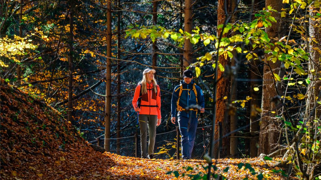 ✓ Chaquetas de montaña para Hombre