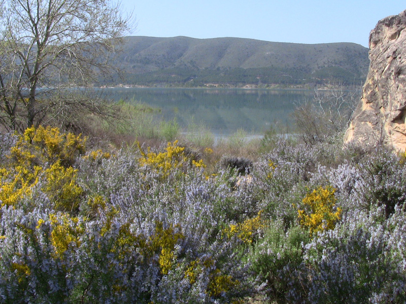 Ruta de las Caras de Buendía