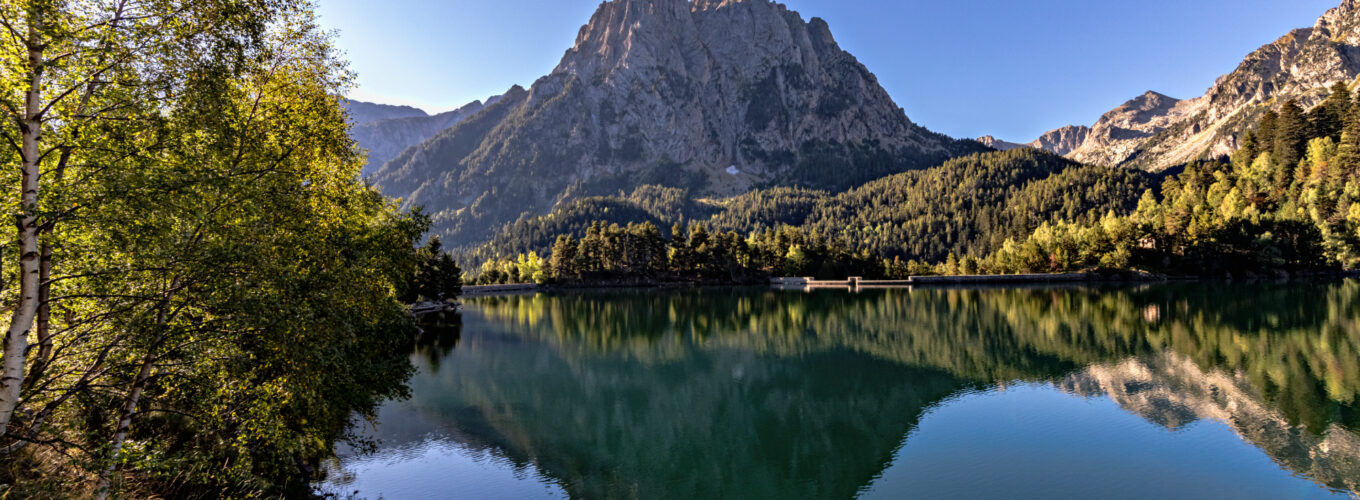 gettyimages 1302052037(1)