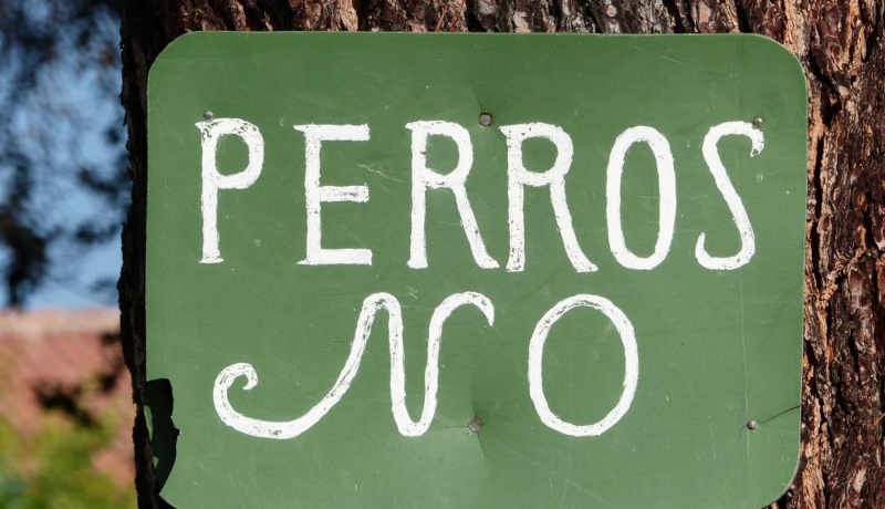 animales en la montaña