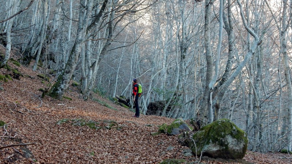 Planes de naturaleza para el otoño