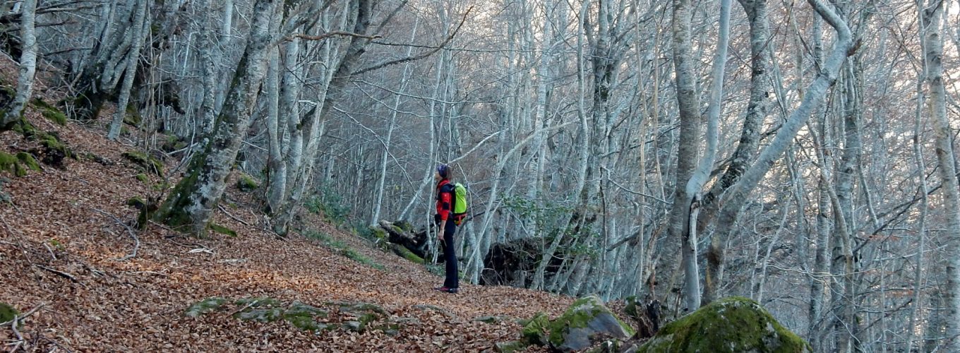 Planes de naturaleza para el otoño