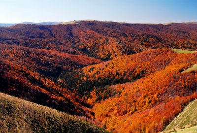 Excursiones para hacer en otoño