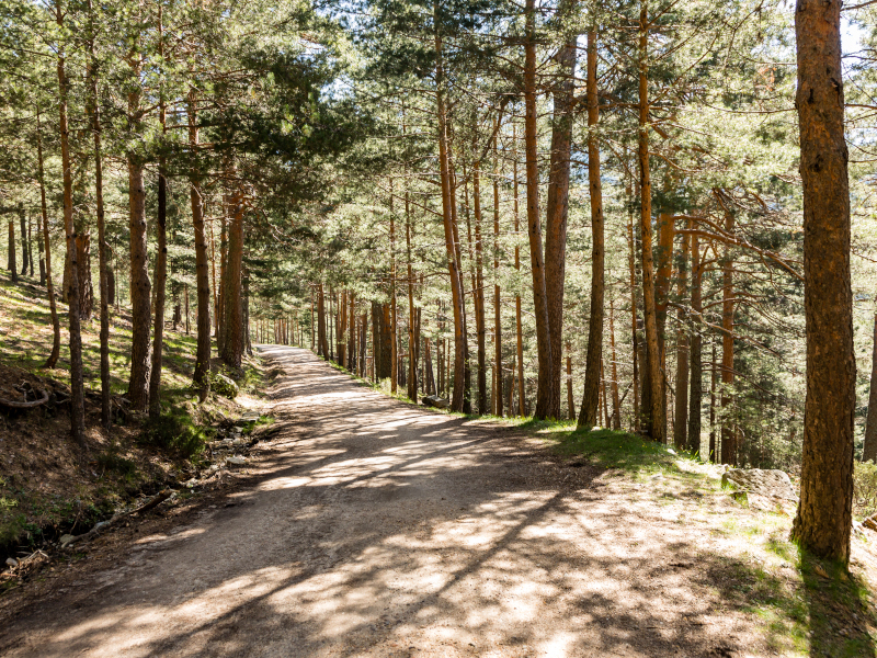 Sierra de Guadarrama