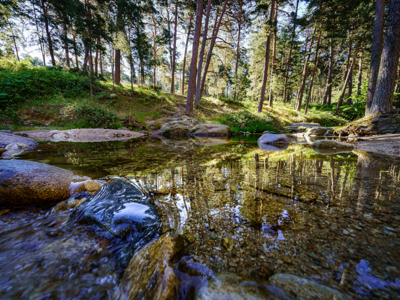 Sierra de Guadarrama