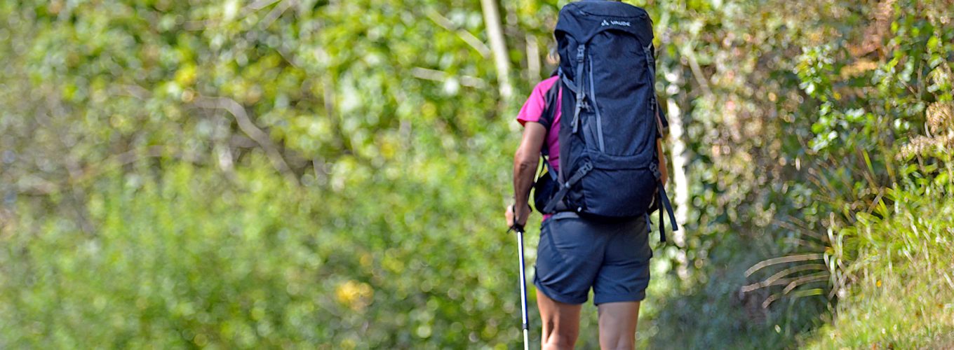 qué tamaño de mochila necesito